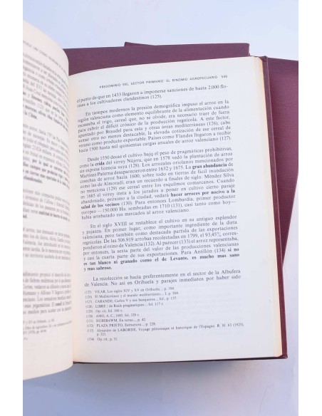 Orihuela, una ciudad valenciana en la España moderna. Historia de la ciudad y  Obispado de Orihuela