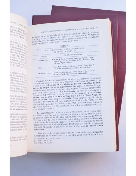 Orihuela, una ciudad valenciana en la España moderna. Historia de la ciudad y  Obispado de Orihuela