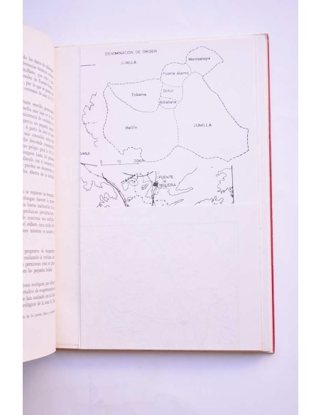 La vid y el vino en la zona de Jumilla