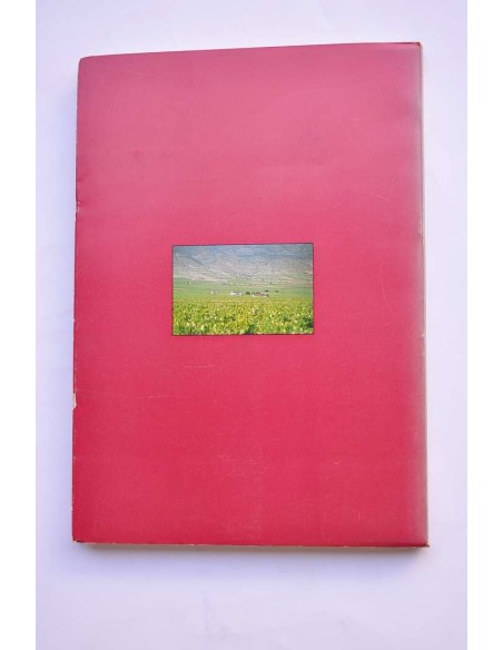 La vid y el vino en la zona de Jumilla