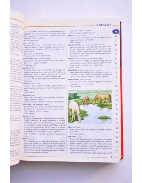 Diccionario escolar de la Lengua Española