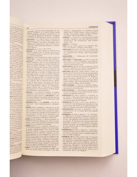 Nuevo diccionario esencial de la lengua española