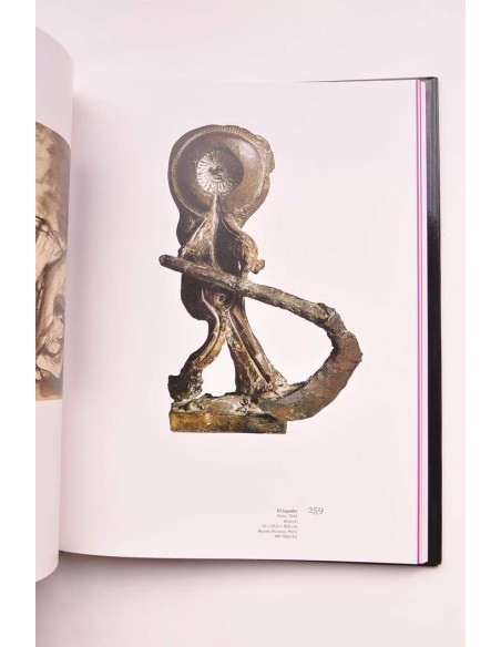 Picasso. La colección del Museo Nacional. Paris