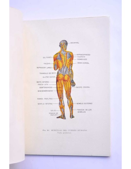 Manual de ayuda sanitaria de urgencia