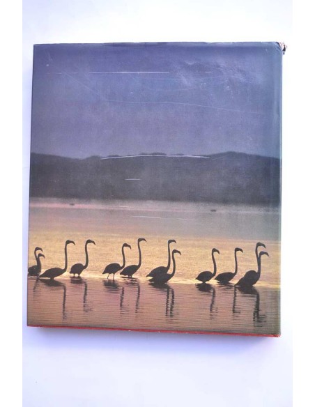Doñana