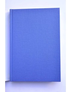 Yo, Juan de Austria 2