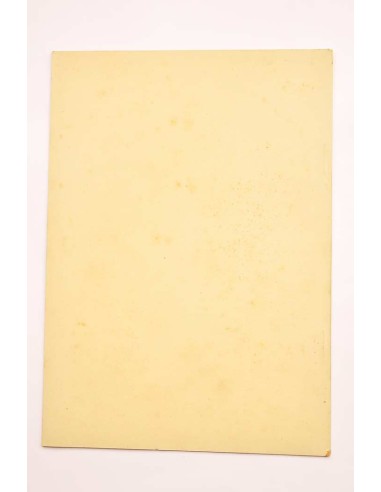 Antigüedades de Altea. Capnegret