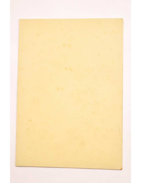 Antigüedades de Altea. Capnegret