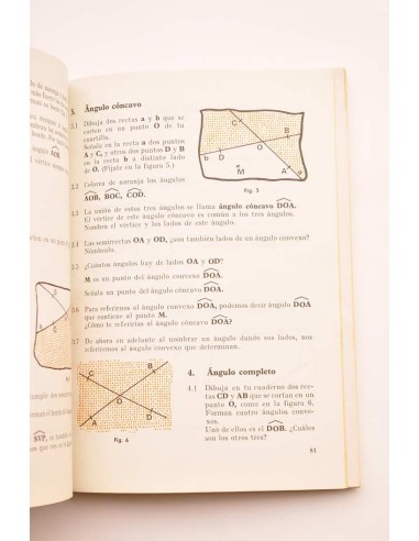 Matemáticas. 5º Curso E.G.B