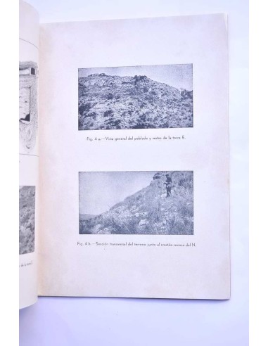 El poblado argárico de Cañaverosa (aportaciones...