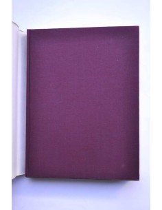 Un palacio para el rey. El Buen Retiro y la corte de... 2