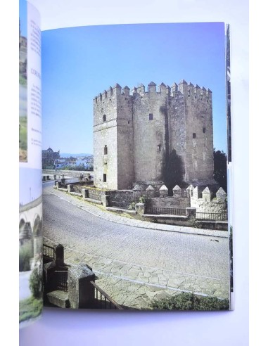 Toda Andalucía