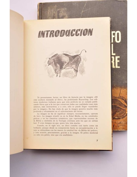 El triunfo del hombre