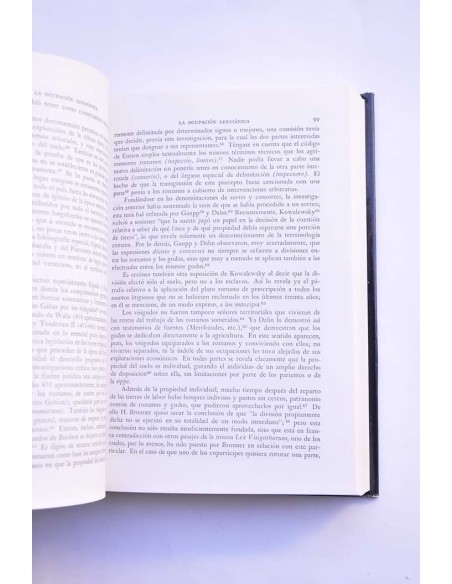 Fundamentos económicos y sociales de la cultura europea (de César a Carlomagno)