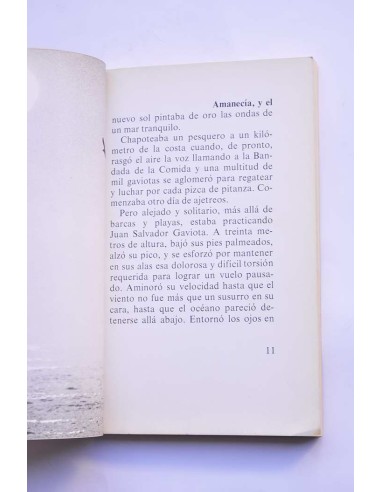 Juan Salvador Gaviota : un relato