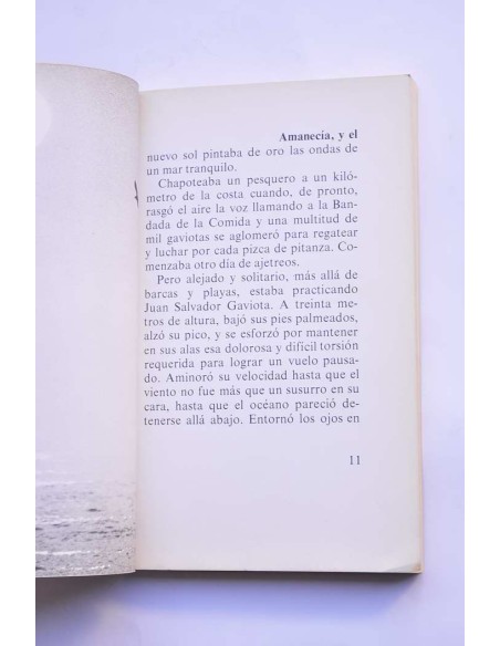 Juan Salvador Gaviota : un relato