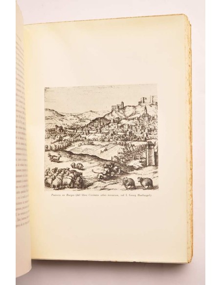 Carlos V y sus banqueros. Tomo II. La vida económica en Castilla (1516 - 1556)