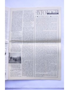 Índice de artes y letras. Año 10, nº 84, septiembre 1995 2