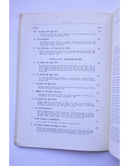 Literatura española. Textos, crítica y relaciones. Vol. I. Edad Media y siglos de Oro