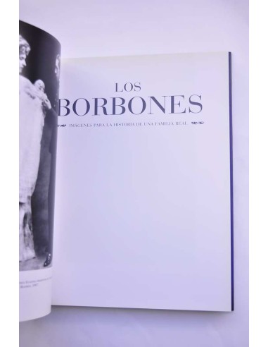 Los Borbones. Imágenes para la historia de una...