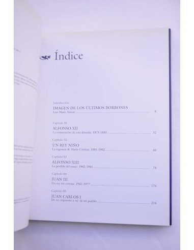 Los Borbones. Imágenes para la historia de una...