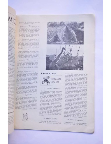 Idealidad. Junio 1967