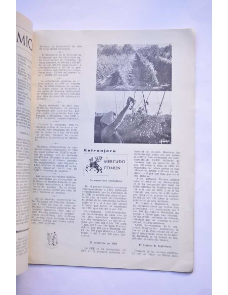 Idealidad. Junio 1967