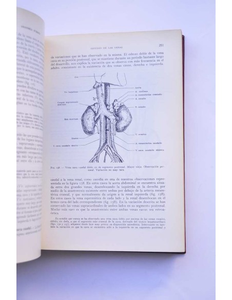 Anatomía humana. Tomo III