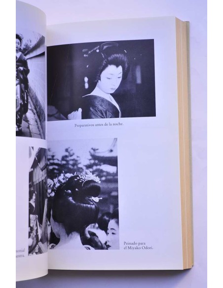 Vida de una geisha