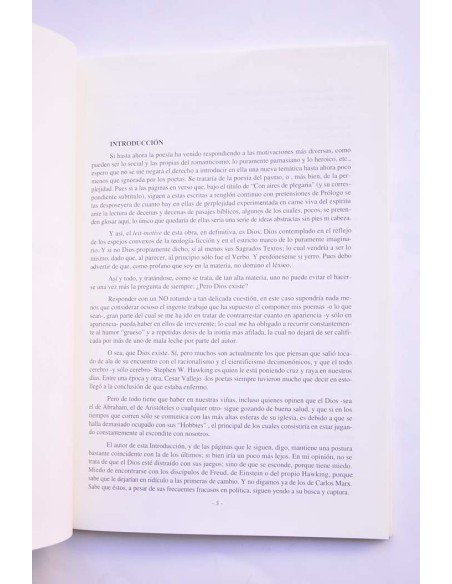 Con aires de plegaria (versos satánicos 2)