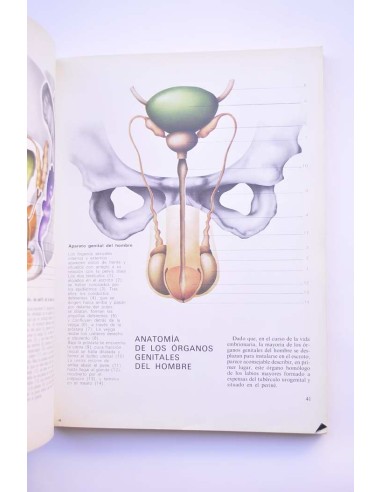 Enciclopedia de la vida sexual. De la...