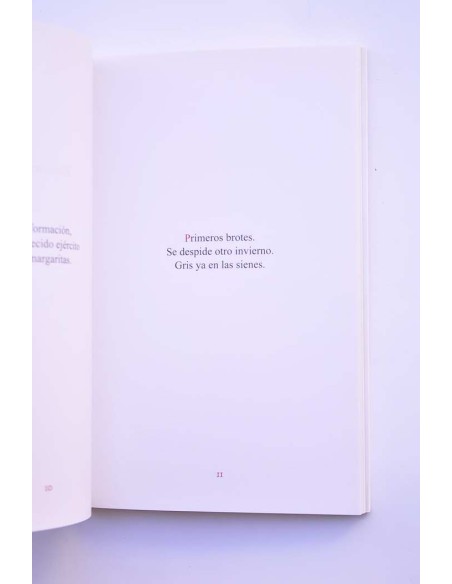 Mujyokan. 72 haikus y un jisei