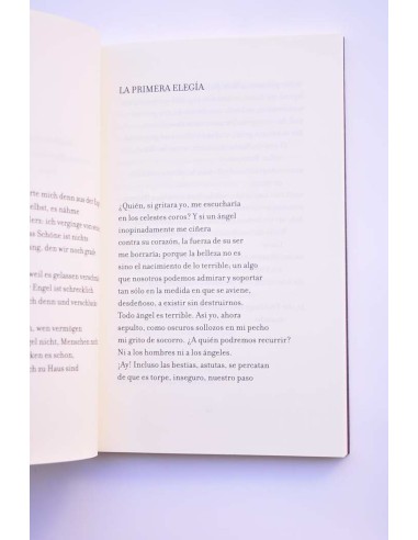 Elegías de Duino - Duineser Elegien