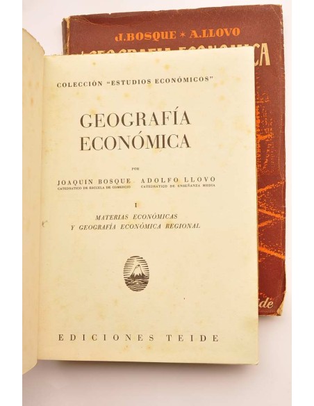 Geografía económica