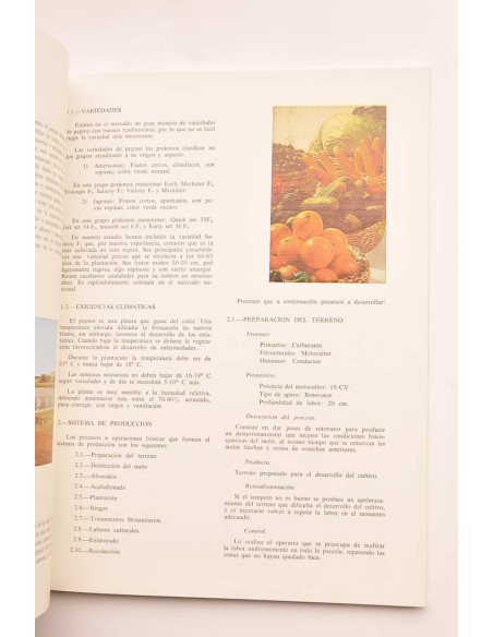 Murcia. Revista informativa de la Diputación Provincial. Año IV, nº 14, abril, mayo, junio, 1978
