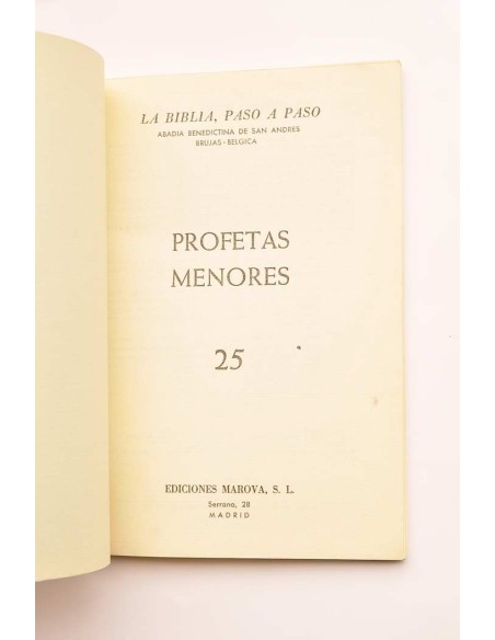 Profetas menores