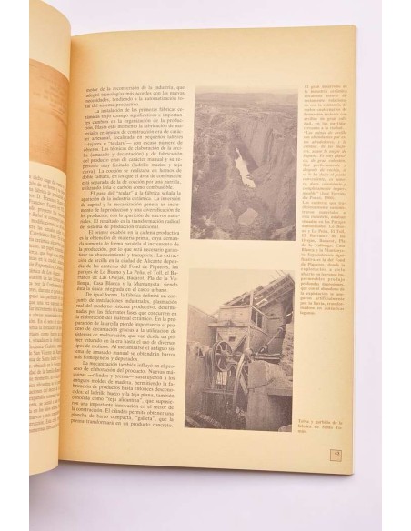 Canelobre. Revista del Instituto de Cultura, Juan Gil-Albert, nº 16, 1989