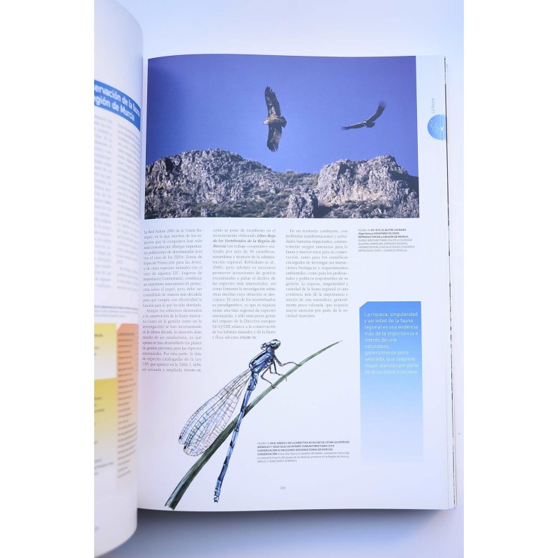 Atlas global de la Región de Murcia