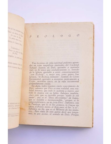 Dios, Iglesia, sacerdocio (tres pastorales)