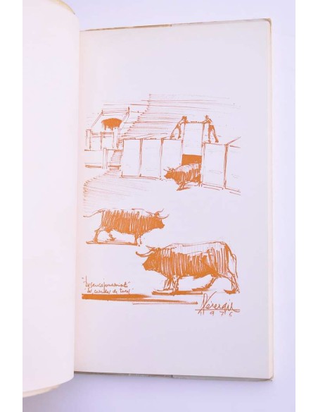 La inútil embestida