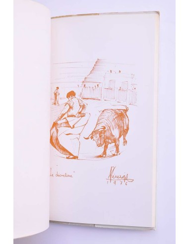 La inútil embestida