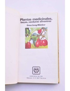Plantas medicinales, bayas, verduras silvestres 2