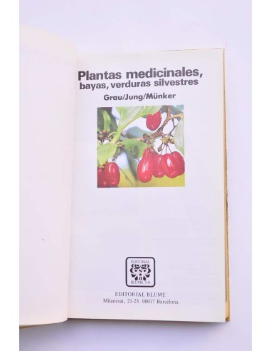 Plantas medicinales, bayas, verduras silvestres