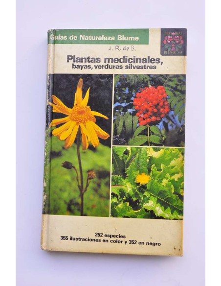 Plantas medicinales, bayas, verduras silvestres