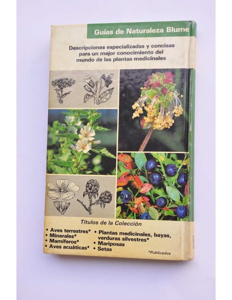 Plantas medicinales, bayas, verduras silvestres