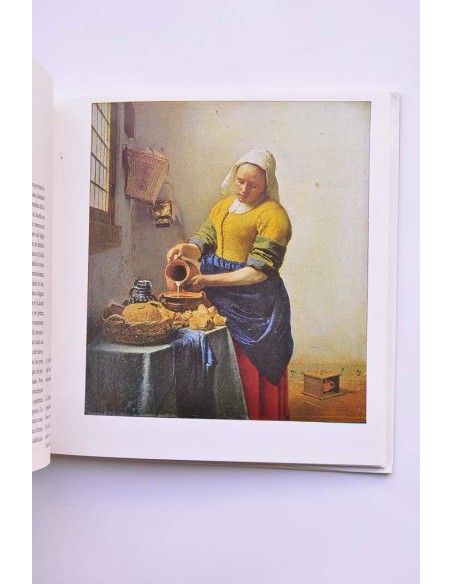 Rijksmuseum Amsterdam. Pinturas