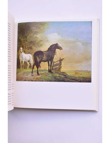 Rijksmuseum Amsterdam. Pinturas