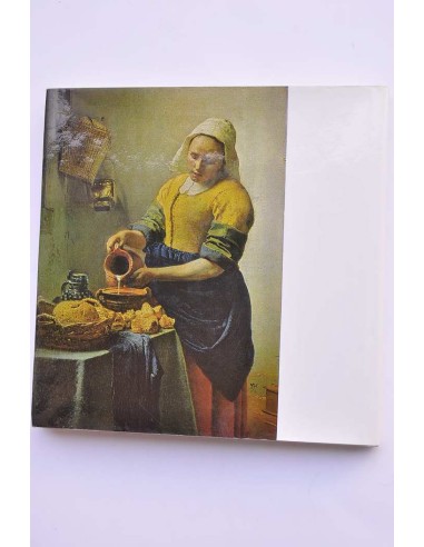 Rijksmuseum Amsterdam. Pinturas