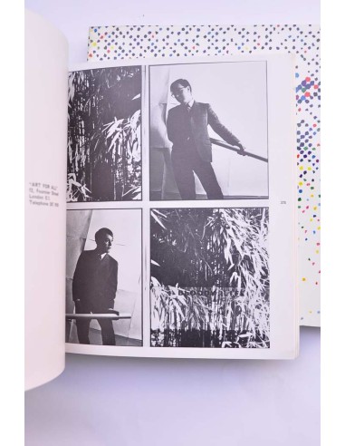 Arte inglese oggi 1960-1976 : documenta de...