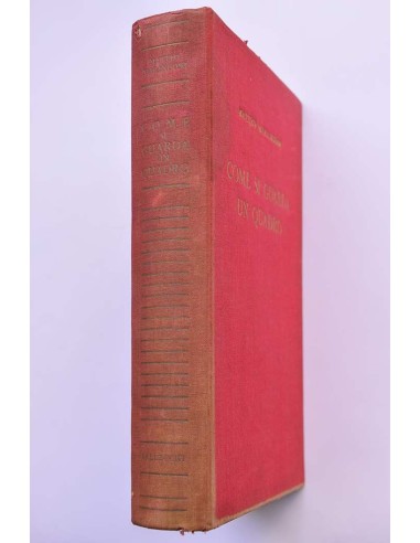 Come si guarda un quadro : lettura de...